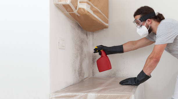 Professional Attic Mold Remediation technician working in Emerson, NJ
