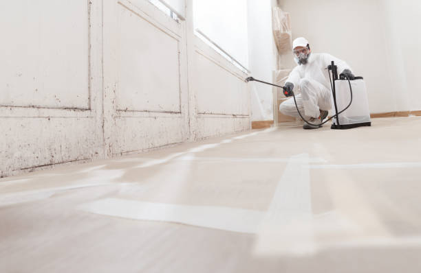 24/7 Emergency Attic Mold Remediation experts in Emerson, NJ