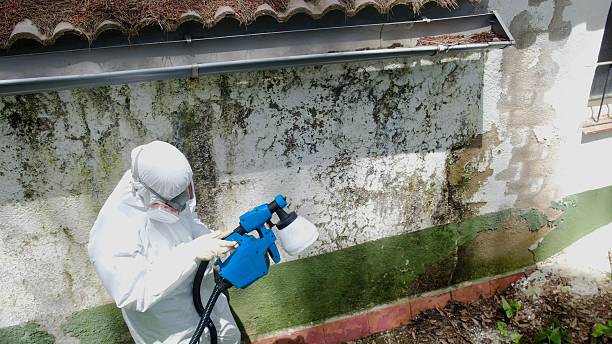 Top rated local Attic Mold Remediation specialists in Emerson, NJ